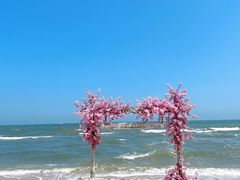 -北戴河碧螺塔海上酒吧公园