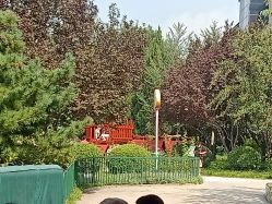 -酷酷兔少儿拓展天地