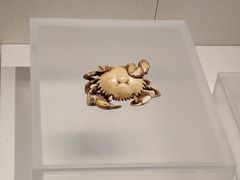 -镇江博物馆