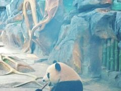 -武汉动物园