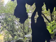 -怀托摩萤火虫洞