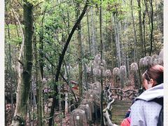 -石燕湖生态旅游景区