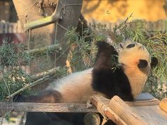 -杭州动物园