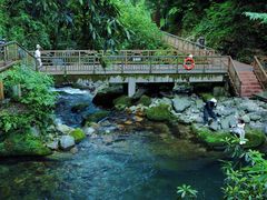 -瓦屋山景区