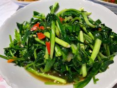 韭菜炒香菜-壹盏灯(惠农店)