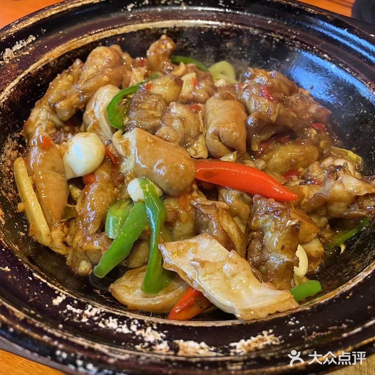性价比中等 平替版惠食佳 啫啫煲 [调皮]永远的神