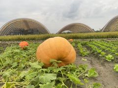 -中国天府农业博览园