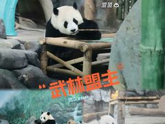 -武汉动物园