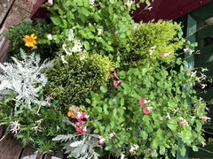 -三鹰之森吉卜力美术馆