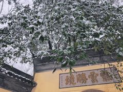 -杭州黄龙洞