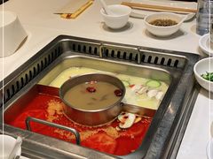 -巴奴毛肚火锅(九洲店)