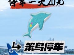 -上海浦东国际机场T1航站楼-P1停车场
