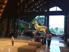 -三亚湾海居铂尔曼度假酒店