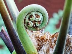 -国家植物园南园