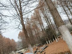 -南山风景名胜区