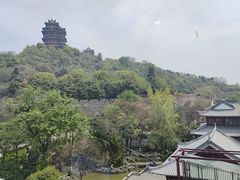 -七欣天香辣蟹火锅(南京建宁路大观天地店)