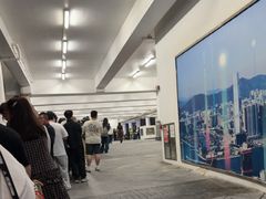 -Big Bus Tours 敞篷观光巴士