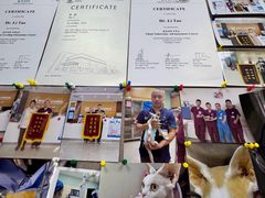 -美联众合动物医院·24h京西诊疗中心