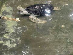 -嘉兴海底世界