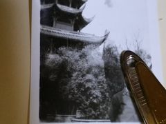 -四川大学博物馆
