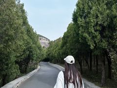 -佛慧山
