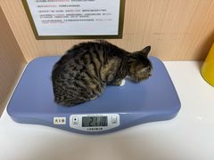 -谐和贝康宠物医院24小时·宠保定点(急重症转诊中心)