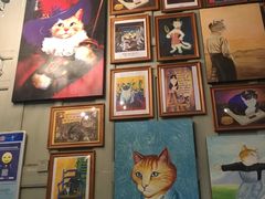 -猫咪博物馆(顶澳仔猫街店)