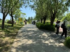 -西部长青自然儿童乐园