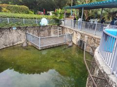 -深圳野生动物园