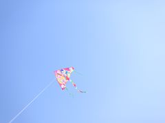 -中国湿地博物馆
