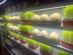 -番食园鲜食火锅(高新店)