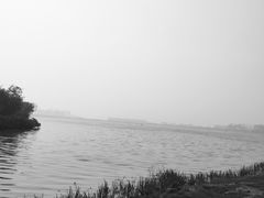 -武清南湖绿博园