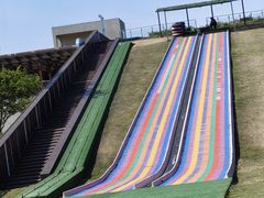 -黄海国家森林公园