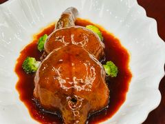 -丁老爷子苏香圆