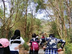 -天台山赤城山景区