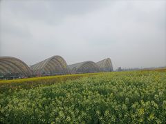 -中国天府农业博览园