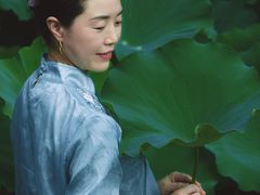 -合肥滨湖国家森林公园