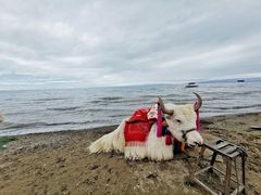 -青海湖国家重点风景名胜区