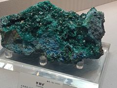 -湖南省地质博物馆