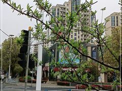 -糕潮(森兰店)