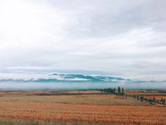 -芦芽山旅游度假区
