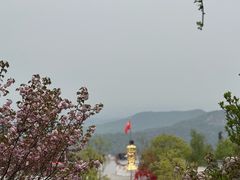 -冶父山国家森林公园