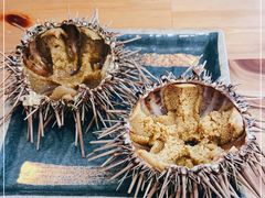 -海胆小馆(东北水饺·春柳店)