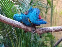 -杭州开元森泊度假乐园