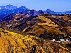 -白鹿原葡萄主题公园