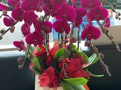 -亭亭鲜花店(中山北路店)