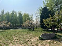 -赵州桥景区