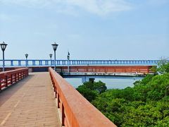 -宝安西湾红树林湿地公园