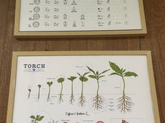 -Torch Coffee 炬点咖啡