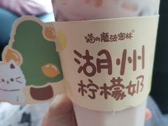 -猫的魔法密林(衣裳街店)